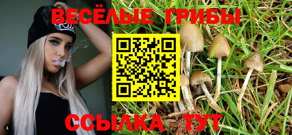 Галлюциногенные грибы прущие грибы Карталы